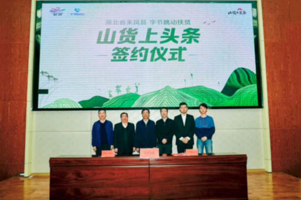 “山貨上頭條” 國家級貧困縣湖北來鳳推廣特色藤茶